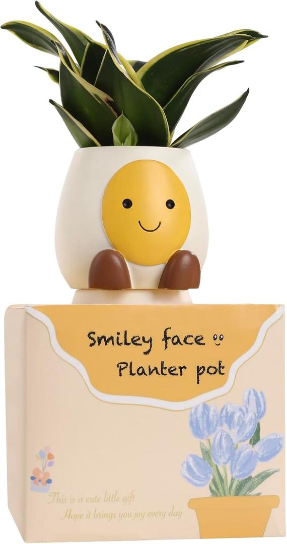 Abofth Fun Planters for Indoor Plants  Cute Plant Pots with Drainage and Tray, Unique Smiley Face Planter, Small Flower Pot Gifts for Plant Lovers, Office Home Decoration