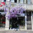 4pcs 47.2-inch Artificial Fake Wisteria Hanging Flower Garland Silk Flower String Home Party Decoration White Blue Pink Purple (Purple)
