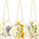 AVLA 3 Pack Pressed Flowers Glass Frames, Small Brass Floating Frame with Chain, Golden Hanging Picture Frame, Clear DIY Handmade Home Wall Decor for Displaying Artwork Dried Plant Specimen