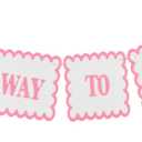 1/2 Birthday Girl, Half Way to One Baby Girl Pink Bow Half Birthday Decorations, 6 Month High Chair Banner Party Supplies