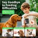 Dog Probiotics & Digestive Enzymes  Pumpkin Fiber Chews for Gut Health, Diarrhea & Upset Stomach Relief, Gas & Stool Support, Beef Flavor Soft Chews  90 Count