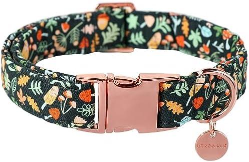 UP URARA PUP Daisy Fall Cotton Dog Collar with Metal Buckle Gift Autumn Collar for Small  Dogs Cute Durable Comfortable Pet Collars,Set of 4