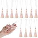 BEL AVENIR 45 pcs Mini Bookmark Tassels 3.75inch/9.5cm Silky Handmade Key Tassel with 2.15inch Cord Loop, DIY Craft Accessory,Tags (Light Pink, 45 pcs)…