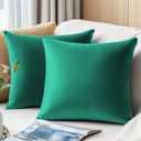 QUORGVES Pillow Covers 16x16 Inch Pack of 2 Velvet Throw Pillow Covers Sofa Decorative for Living Room Bed Couch Bedroom Soft Decor Accent Pillow Covers Cases 16 x 16 Set of 2