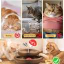 Cat Toy, Magic Organ Cat Scratch Board, Compact Cats Accordion Toy, Interactive Cardboard Cat Scratcher Pad Toys with Bell Ball for Indoor Exercise