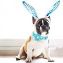 Lionheart glory Easter Day Dog Collar with Flower Dog Collar for Large Dogs, Easter Rabbits Colorful Dog Flower Collars Spring Bunnies Blue Collars Pet Collar Flowers (X-Large (Pack of 1)
