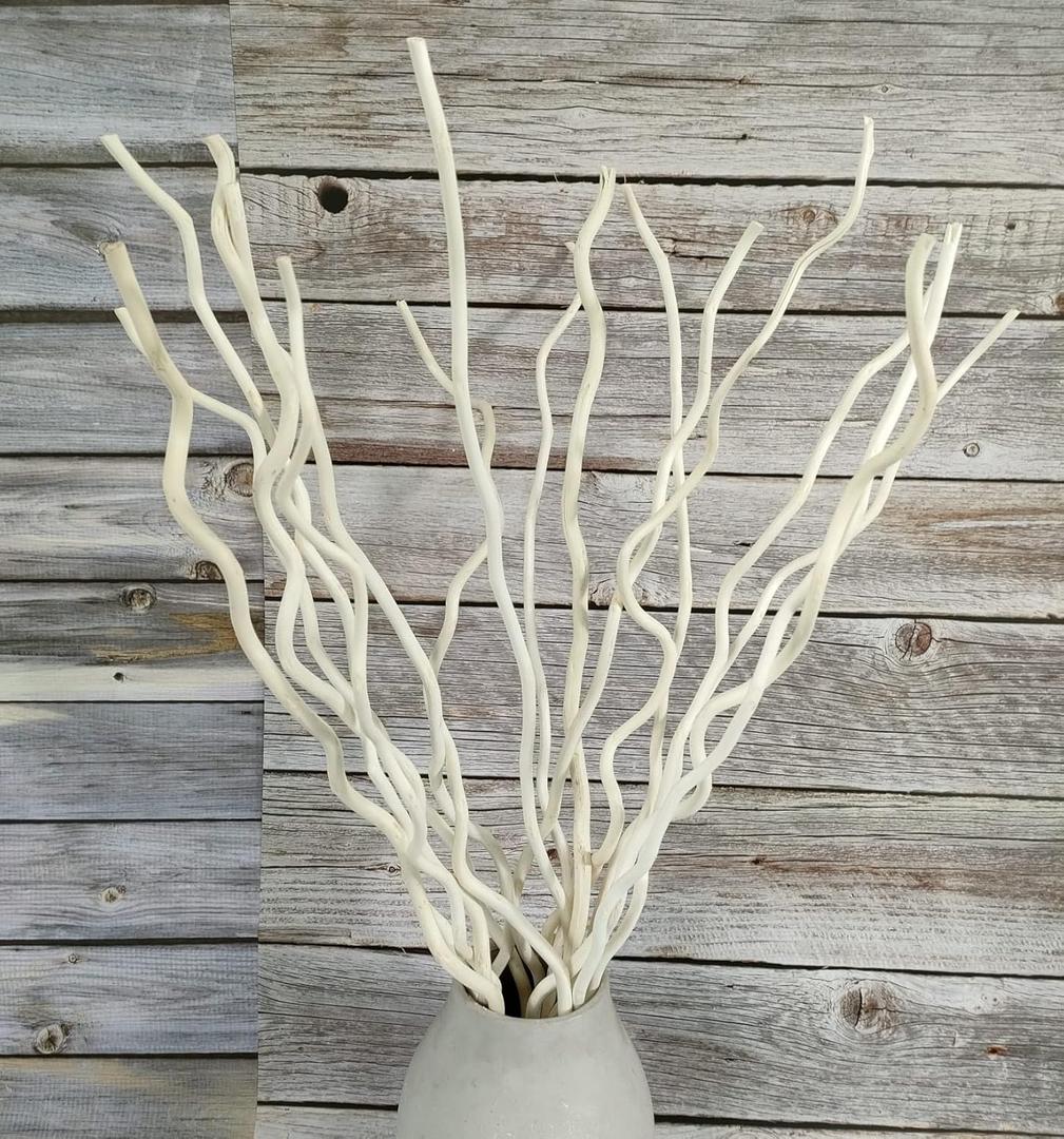 21-23 Inch Dried Natural Curly Willow Branch 15 Pcs Decorative Twisted White Sticks, 3 Pieces Mini Real Gourds for Home Decor (thick)