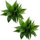 Artificial Agave Fake Plant, Faux Shrubs Bushes Plants for Indoor Outdoor Bedroom Garden Greenery UV Resistant Leaves Home Decor Wedding Party Office Planter Filler DIY Decoration Green 4 Pack