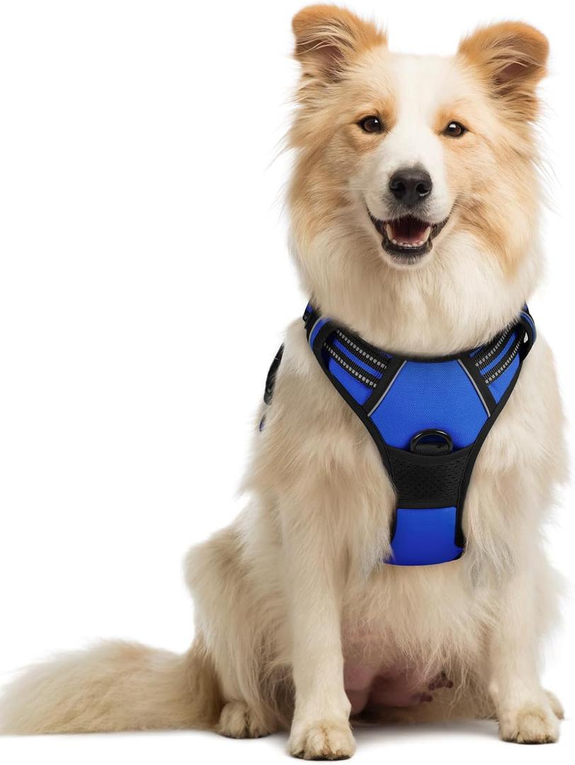 rabbitgoo Dog Harness No Pull with 2 Leash Clips, Adjustable Soft Padded, Reflective Oxford No Choke Pet Vest with Easy Control Handle for Medium Sized Dogs, Dazzling Blue, M (Medium, Dazzling Blue)