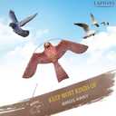 Bird Hawk Flying Kite with Pole Crops Farm Protector Bird Scarer Flying Kite with 4m Pole-Style A, 200-500 Sq M