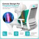 Lumbar Support Pillow, Memory Foam Lumbar Pillow for Lower Back Pain Relief, Back Support Pillow for Office Chair, Car Seat -Gray