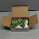 Der Rose Set of 6 Succulents Plants Artificial in Pots Small Fake Plants for Bedroom Aesthetic Living Room Shelf Bathroom Decor Office Desk Accessories (Green)