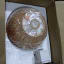 Boho Floor Lamp with Remote- Arc Tall Lamps, Bronze Floor Lamps with Stepless Dimmable Bulb, Hand-Worked Adjustable Rattan Lampshades, Brown Rattan Standing Lamp