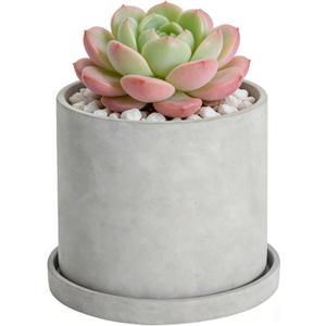 Ekirlin 6 Inch Flower Indoor Plant Pot, Natural Cement Grey Garden Planters, Outdoor Concrete Planter with Drain Hole Saucer Tray, 5 in Modern Succulents Containers for Home Decor & Garden Plants (A1.gray)