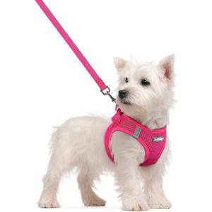 rabbitgoo Dog Harness Small Sized and Leash Set, Step in Soft Light Puppy Vest, Breathable Mesh Pet Harness, Reflective for Safe Easy Walking, Rose Red, Small
