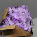 Tigeen 100 Pcs Hydrangea Artificial Flowers Bulk 7.48 Inch Artificial Hydrangeas with Removable Stems Faux Flowers Wedding Decor for Home Garden Party Decoration DIY Project (Lavender)