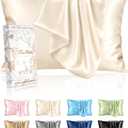 Silk Pillowcase 2 Pack - Pillow Cases Queen Set of 2 Size 20" x 30" for Hair and Skin Smooth Soft Breathable with Hidden Zipper Cooling Pillow Covers for Sleeping Women, Beige