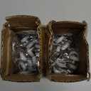 Curtain Track Rollers Curtain Mute Wheel Rollers Hook Pulley Runners/Sliders for Ceiling/Wall Mount Curtain Tracks 30PCS