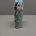 Hydro Flask Water Bottle - Insulated Stainless Steel - Wide Mouth Flex Straw Lid, Non Spill, Leakproof and Refillable in 24 Oz Polar Plunge