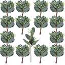 Apexom 64 PCS Artificial Greenery Stems, Silver Dollar Eucalyptus Stems with 384 Eucalyptus Leaves White Seed Branches for Flower Arrangements, Wedding Bouquets