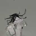 Face Tape Neck Tape Lifting