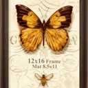 Splinterix 12x16 Picture Frame, 2 Pack Ornate Vintage Picture Frames for Wall or Tabletop Display, 12 x 16 Photo Frame with Real Glass, Display Poster 8.5x11 with Mat or 12x16 without Mat for Antique Déco, Brown