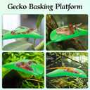 2 x Tree Frog Tank Accessories & Turtle Basking Platform 3PCS Set Leaf Decor - Reptile Habitat Decoration, Terrarium Accessories with Suction Cups for Turtles, Frogs, Geckos & Toads (Rounded Leaf)