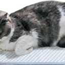 petfelix Pet Cooling Mat, Chew & Scratch Resistant QMAX>0.5 for Mini Dogs & Cats Up to 10 lbs, S 18''*14'' Machine Washable Non-Skid Portable Easy to Fold Crate Pad