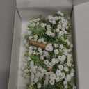 Ling's Moment Boutonniere for Men, 10pcs Groomsmen Guest Boutonniere with Built-in Pins, Artificial Flowers for Wedding Dcor/Prom/Homecoming,etc.Baby Breath White