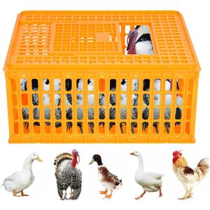 Poultry Carrier Crate Plastic Chicken Transport Crate Cage Heavy Duty Chicken Carrier Crates Crates Transport Box