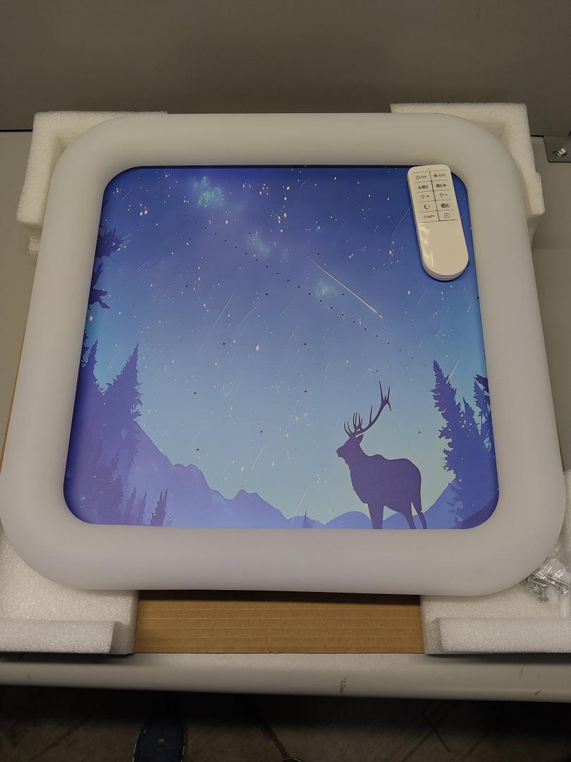 Light With Moose Picture19x19inch Top With Controller