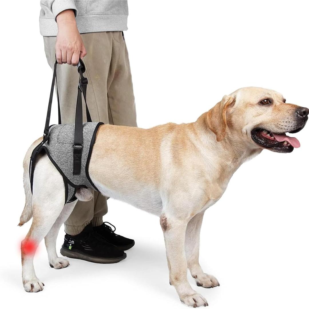 Dog Sling for for Small Dogs Hind Leg Support, Dog Lift Harness for Back Legs Rehabilitation, Hip Brace Support Closure Adjustable Strap Large Elderly Dogs Lift Harness (S)