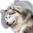 Dog Pillows for Large Dogs, Glow in The Dark Soft Neck Pillow, U-Shaped Pillow for Cat and Dog, Machine Washable Toy & Birthday Gift (Glow Grey, L)