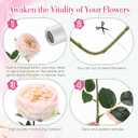 Giegxin 20 Pcs Real to Lifelike Peonies Austin Roses Artificial Flowers, Faux Look Real Long Stems Fake Flower with Big Blooms for Christmas Valentines Wedding DIY Arrangement Home Decor(Light Pink)