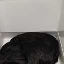 STfantasy Men Short Wigs Male Guy Layered Wavy Halloween Cosplay Anime Party Short Black Mens Wigs (Natural Black)