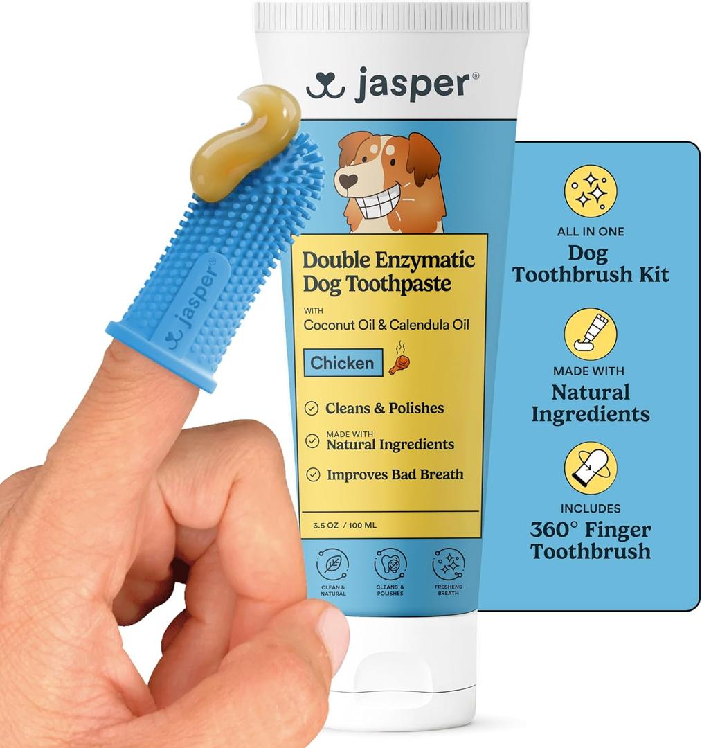 Jasper Dog Tooth Brushing Kit and Dog Toothpaste Kit 360 Dog Toothbrush Enzymatic Plaque Remover Improves Bad Breath Natural Pet Toothpaste Dog Toothbrush and Toothpaste 2 oz Chicken Flavor