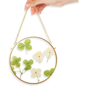 TLBTE 8x8 inch Round Brass Hanging Photo Frame, Double Side Circle Glass Frame for Pressed Flowers, Clear Circular DIY Vintage Artwork Display Picture Frame Wall Mounted