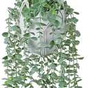 DREAMLOOM Fake Hanging Plants with Pot, Artificial Eucalyptus Hanging Plants with Macrame Hanger for Indoor Decor, Fake Hanging Vines Faux Greenery for Home Kitchen Office