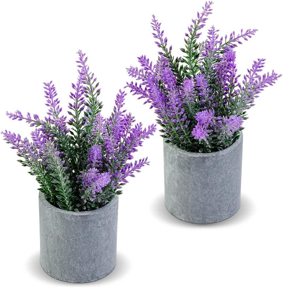 CADNLY Artificial Lavender Plant in Pots - Faux Lavender Flowers Decor  Fake Flowers Purple Decor Plant Potted Bathroom Bedroom Kitchen Farmhouse Home 2 Pack