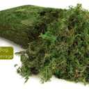 7OZ Moss for Plants Indoor, Natural Looking Faux Grass for Crafts, Terrariums, Fairy Gardens, Floral Arrangements - Artificial Spanish Moss Alternative for Home Decor (200g) (Fresh Green)