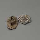 WINOMO Knobs and Pulls 2Pcs Seashell Knobs Nautical Door Handle, Ocean Cabinet Drawer Cupboard Pull for Kitchen Furniture Cabinet Wardrobe Cupboard Ceramic Cabinet Knobs