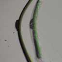 AUTOBOO 26" and 18" Windshield Wipers Blades (Pack Of 2),OEM Quality Premium All-Seasons Wiper blades, Stable and Quiet Armor wiper blades