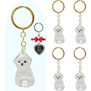 Dog Hair Storage Bottle Keychains Charm Memorial Collector Gift, Pet Fur Keepsake 5pcs with 1pcs Love Metal Photo Frame Locket Keychain (Bichon Frise)