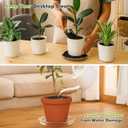 30 Packs Clear Plant Saucers for Indoor Outdoor Use 4/6/8/10/12/14 Inches Heavy Duty Plastic Plant Trays for Planter Bulk Flower Pot Drip Trays to Catch Water, Round Transparent
