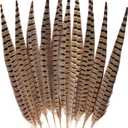 FeelfunFeather 10pcs Pheasant Feather 16-18inch 40-45cm Natural Male Ringneck Tails Feathers for DIY Crafts Home Wedding Party Carnival Decoration