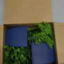 Der Rose Fake Plants 2 Pack Small Artificial Plants in Blue Pots Faux Plants Indoor for Home Room Bathroom Living Room Decor