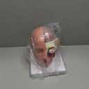 HADWYN 2025 New Educational Head Anatomical Model With Brain Study - Classic Cerebral Artery Anatomy Medical Model