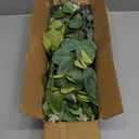 Giegxin 90 Pcs 3 Kinds Mixed Eucalyptus Leaves Stems Bulk Artificial Silver Dollar Leaves Picks Dried Eucalyptus Bundle Faux Spray for Wedding Vase Bouquet Floral Arrangement (Green)