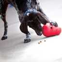 KONG Wobbler - Interactive Dog Toy for Treat Dispensing - Dog Slow Feeder for Healthy Eating - for Medium/Large Dogs