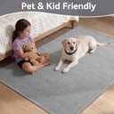 3x5 Rugs for Entryway, Woven Indoor Washable Door Mat, Non Slip Boho Small Rug for Kitchen, Soft Low Pile, Front Door Area Rug for Entrance, Living Room, Bedroom, Laundry, Bathroom  (Grey)